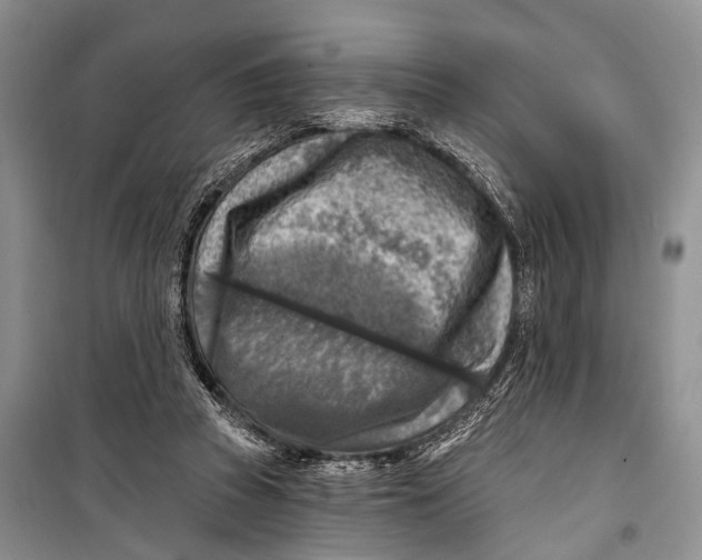 X0000098170353200805151122