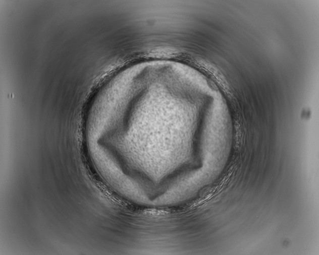 X0000098170354200805151122