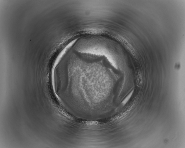 X0000098170355200805151122