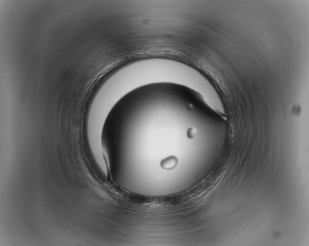 X0000098170356200805151122