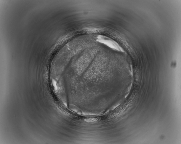 X0000098170357200805151122