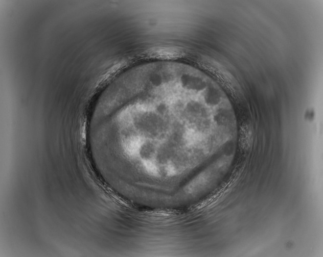 X0000098170358200805151122