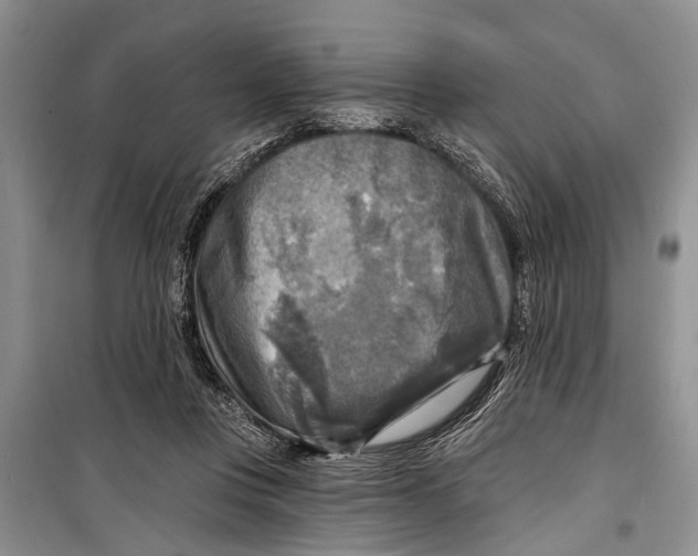 X0000098170359200805151122