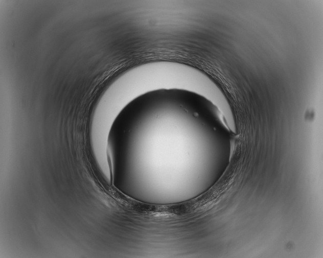 X0000098170360200805151122