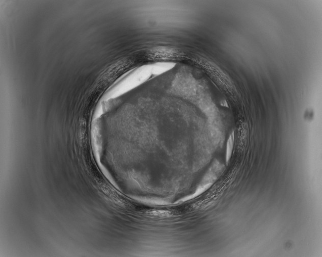 X0000098170361200805151122