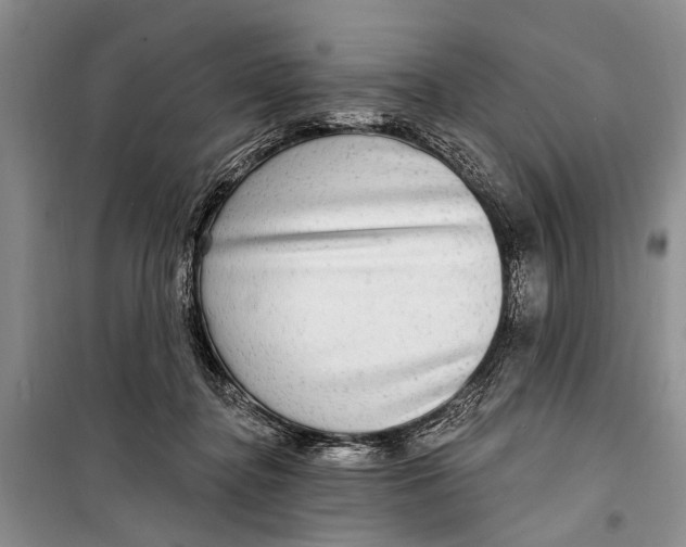 X0000098170364200805151122