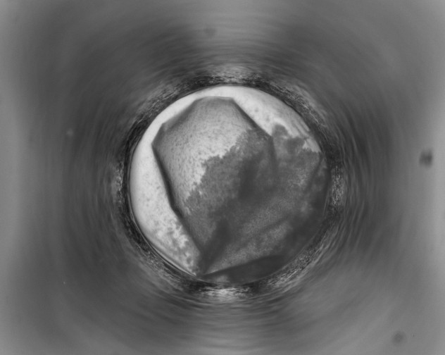 X0000098170365200805151122