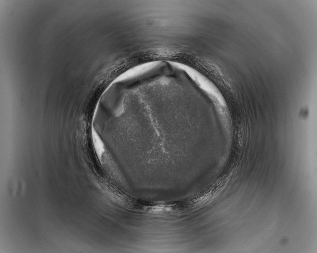 X0000098170366200805151122