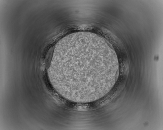 X0000098170368200805151122