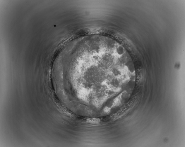 X0000098170369200805151122