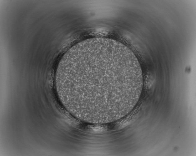 X0000098170370200805151122