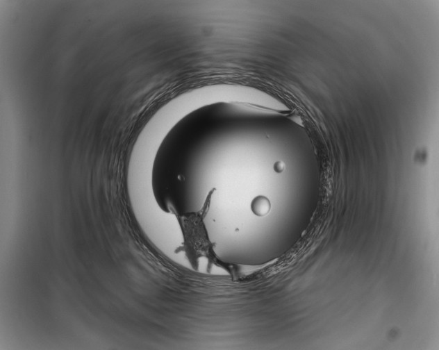 X0000098170376200805151122