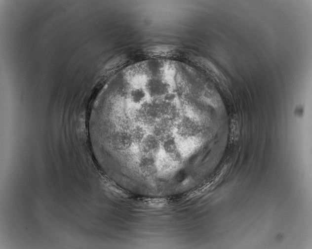 X0000098170377200805151122