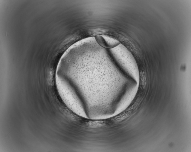 X0000098170378200805151122