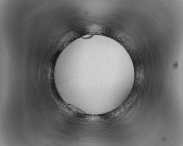 X0000098170379200805151122