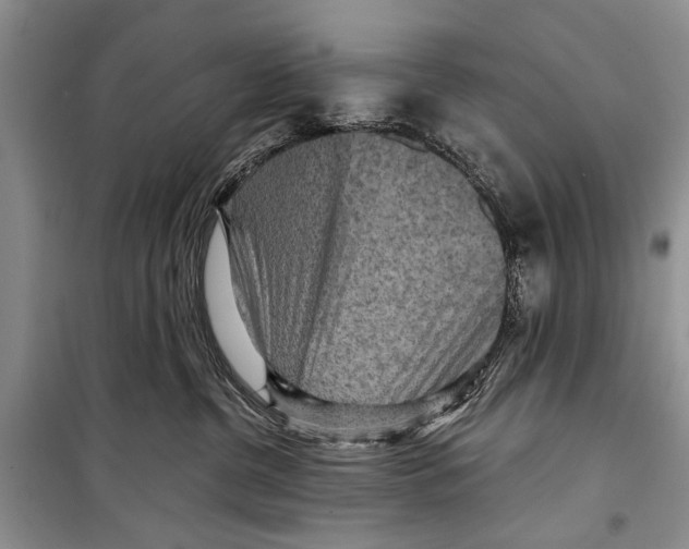 X0000098170380200805151122