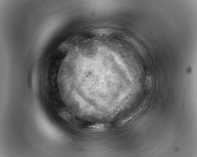 X0000098170381200805151122