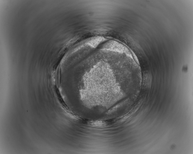 X0000098170383200805151122