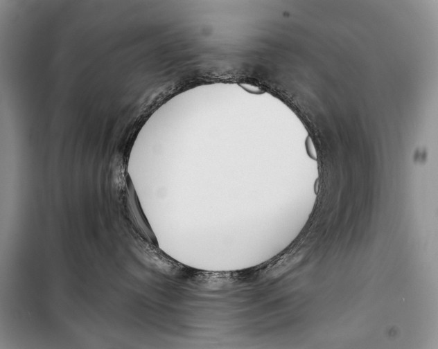 X0000098170384200805151122