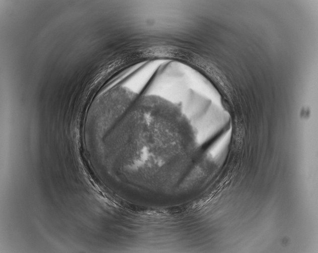 X0000098170386200805151122