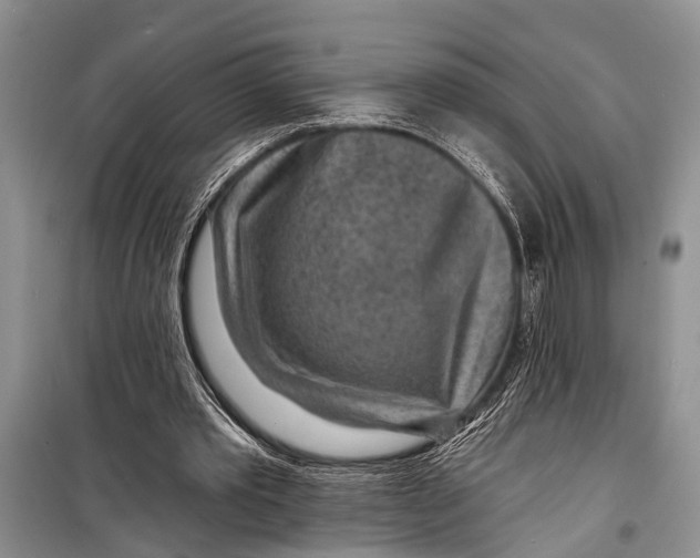 X0000098170389200805151121