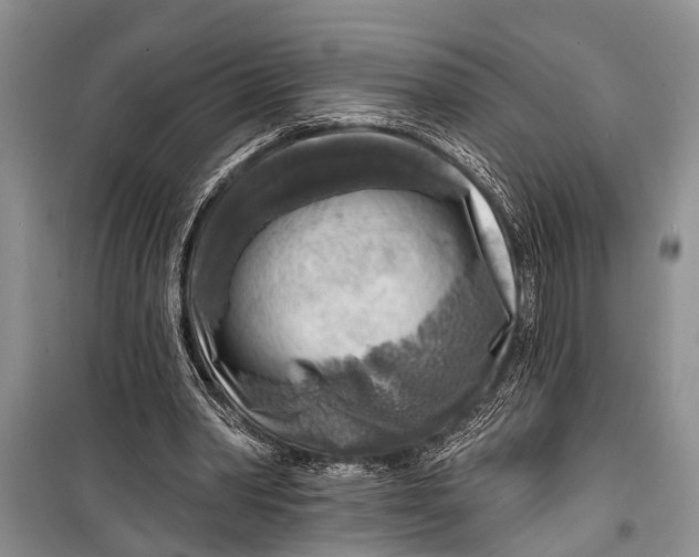 X0000098170390200805151121