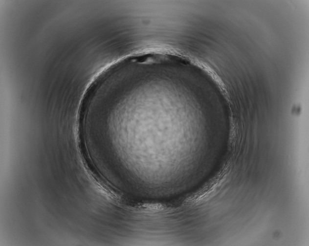 X0000098170391200805151121