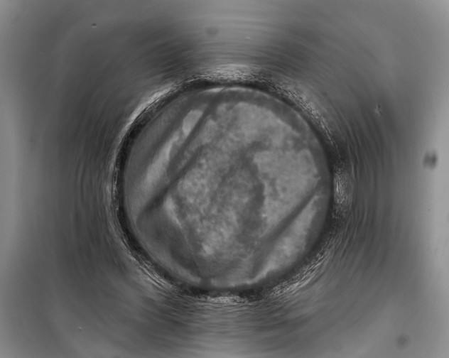 X0000098170396200805151121