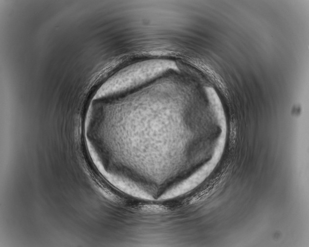 X0000098170397200805151121