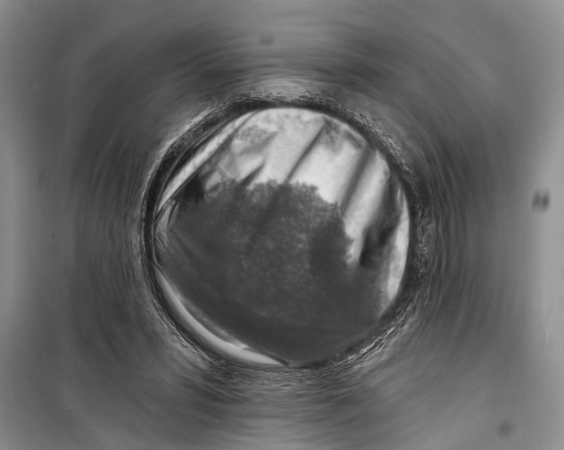 X0000098170399200805151121