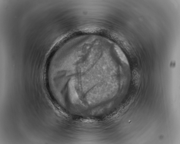 X0000098170400200805151121