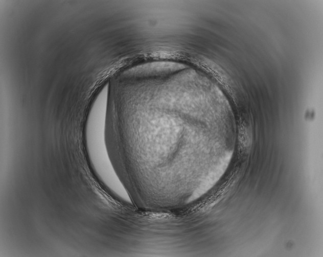 X0000098170401200805151121