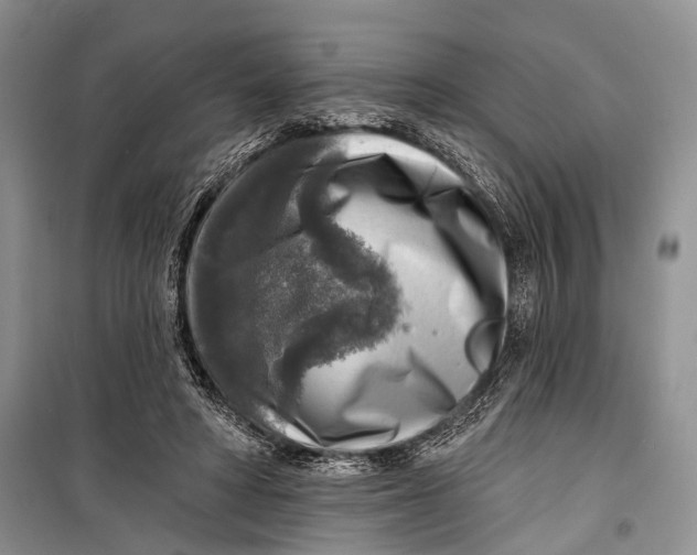 X0000098170402200805151121