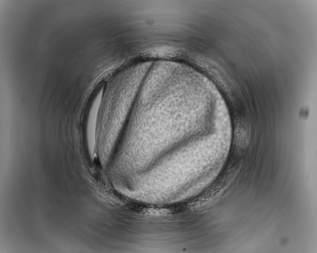 X0000098170403200805151121