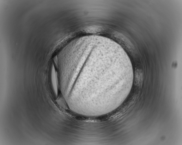 X0000098170404200805151121