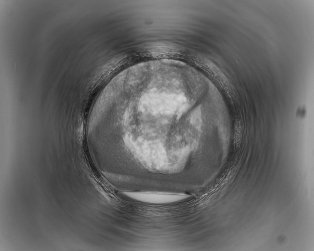 X0000098170405200805151121