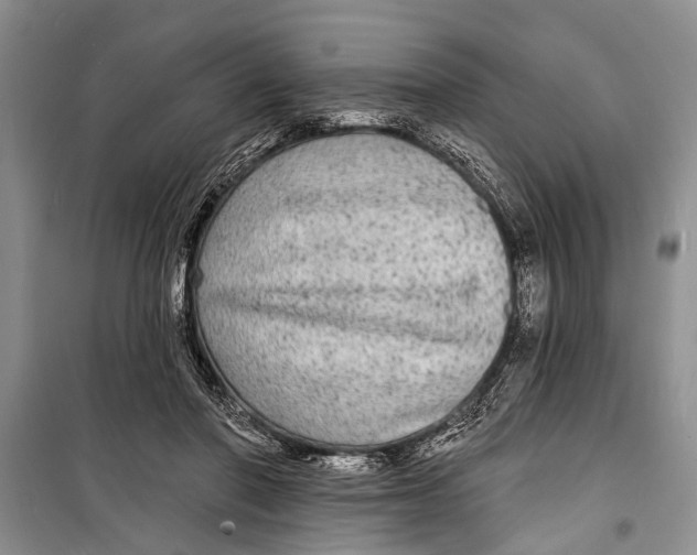 X0000098170406200805151121