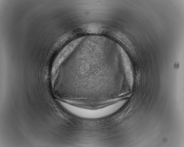 X0000098170407200805151121