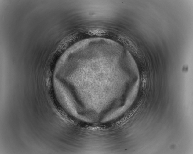 X0000098170408200805151121