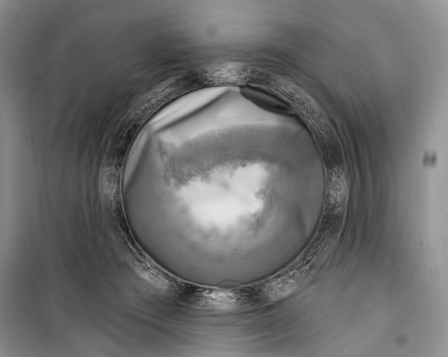 X0000098170409200805151121