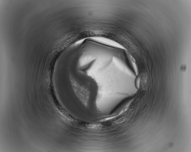 X0000098170410200805151121