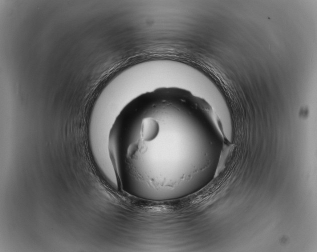 X0000098170411200805151121