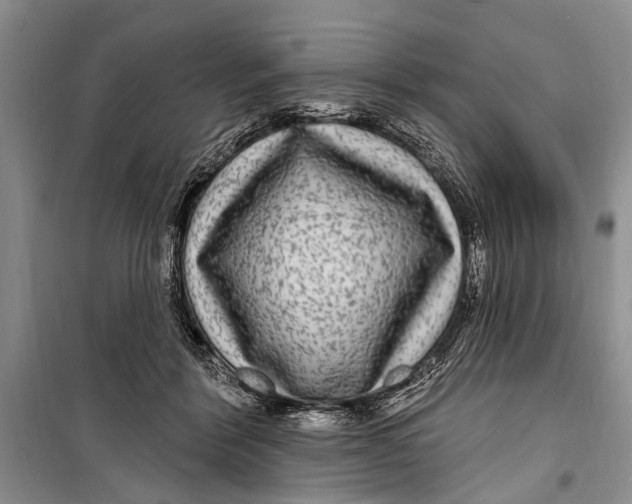 X0000098170412200805151121