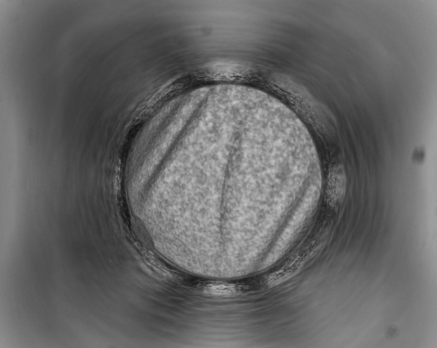 X0000098170413200805151121