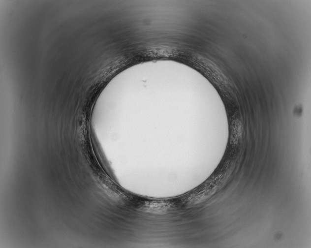 X0000098170414200805151121