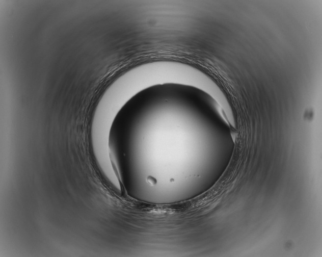 X0000098170415200805151121