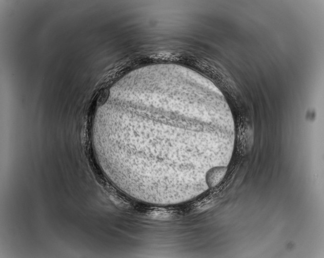 X0000098170416200805151121