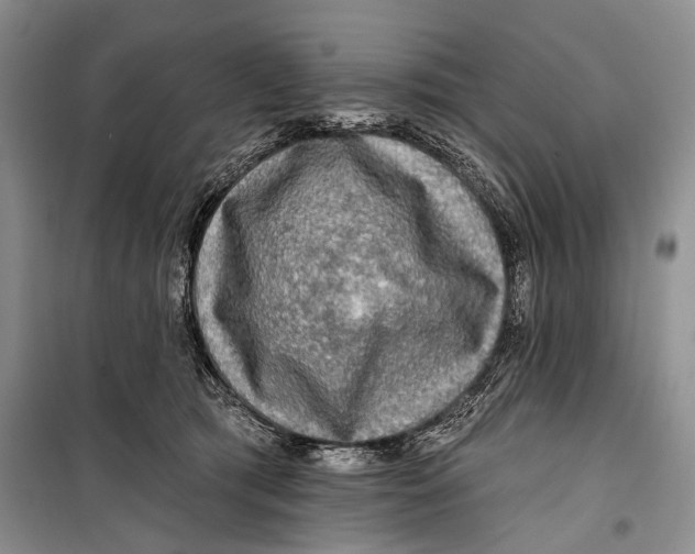 X0000098170417200805151121