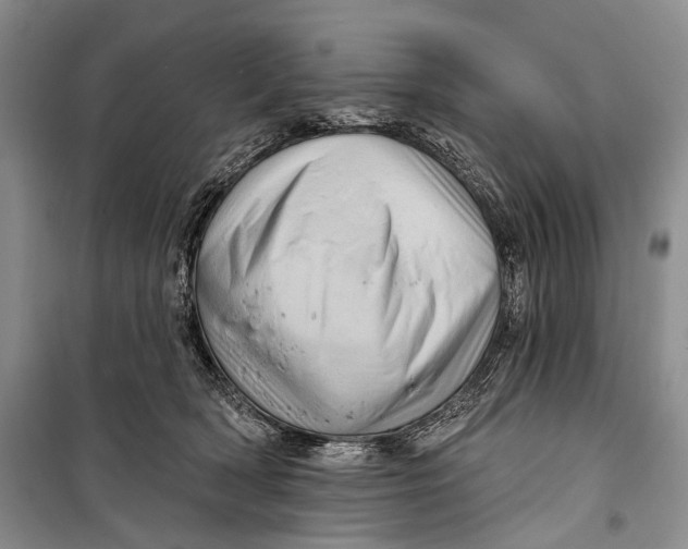 X0000098170418200805151121