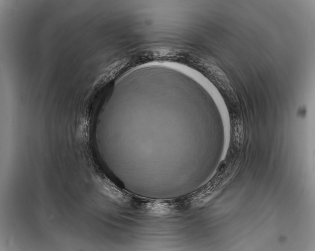 X0000098170419200805151121